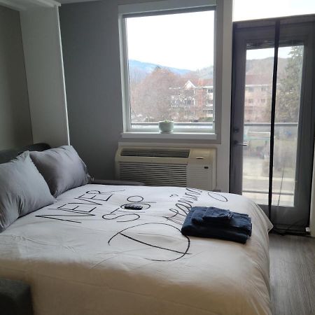 Cozy Studio Suite, 15Min Walk To Downtown Kelowna Bagian luar foto